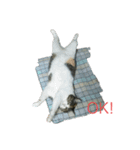 チビクロドン♪（個別スタンプ：5）