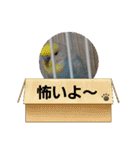 スカイ(大量スタンプ)（個別スタンプ：5）