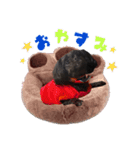 マスターwithラム（個別スタンプ：4）