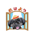 マスターwithラム（個別スタンプ：5）