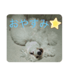 仁くん.スタンプ（個別スタンプ：2）