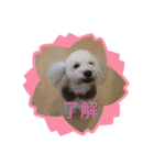 仁くん.スタンプ（個別スタンプ：4）