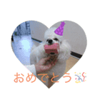 仁くん.スタンプ（個別スタンプ：5）