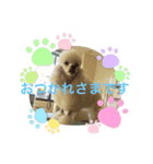 仁くん.スタンプ（個別スタンプ：7）