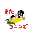 ミニチュアダックスの気ままなランチ21（個別スタンプ：7）