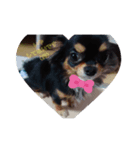 love犬ちゃん（個別スタンプ：2）