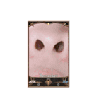 イゴサニ3（個別スタンプ：11）