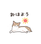 ねこふぁん！（個別スタンプ：3）