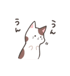 ねこふぁん！（個別スタンプ：15）