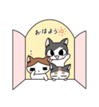 ことねこさんちの3姉妹。（個別スタンプ：14）