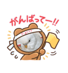 白インコのピーちゃん①（個別スタンプ：5）