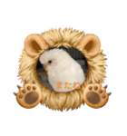 白インコのピーちゃん①（個別スタンプ：22）