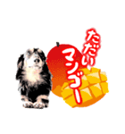 ミニチュアダックスの気ままなランチ20（個別スタンプ：4）