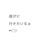 鳥さんたちの日常会話（個別スタンプ：20）