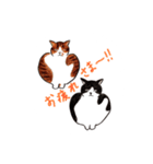 ねこず_らいふ（個別スタンプ：5）