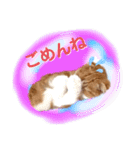 ベルさんアッシュさんのスタンプ（個別スタンプ：2）
