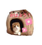 ベルさんアッシュさんのスタンプ（個別スタンプ：7）