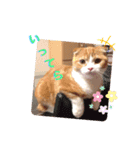ベルさんアッシュさんのスタンプ（個別スタンプ：9）