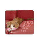 ベルさんアッシュさんのスタンプ（個別スタンプ：12）