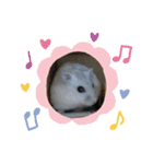 ジャンガリアンハムスターしろぷく②（個別スタンプ：18）