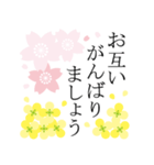 桜咲く❤春爛漫！大人シンプル（個別スタンプ：31）