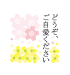 桜咲く❤春爛漫！大人シンプル（個別スタンプ：37）