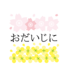 桜咲く❤春爛漫！大人シンプル（個別スタンプ：38）