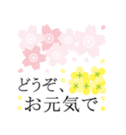 桜咲く❤春爛漫！大人シンプル（個別スタンプ：39）