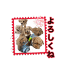 癒しのトイプー①（個別スタンプ：8）