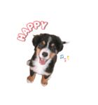 BMD_KAI（個別スタンプ：6）