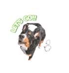 BMD_KAI（個別スタンプ：7）