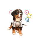 BMD_KAI（個別スタンプ：10）