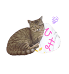 えらそうな猫様 下僕用（個別スタンプ：2）