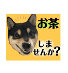 柴犬のこはるなんです〜黒柴子犬ちゃん〜④（個別スタンプ：5）