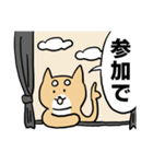 毎日コタロー その2（個別スタンプ：5）