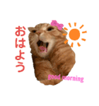 きなこなつの日常（個別スタンプ：2）
