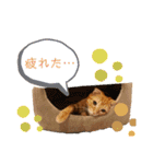 きなこなつの日常（個別スタンプ：7）