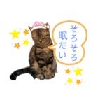 きなこなつの日常（個別スタンプ：14）