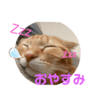 きなこなつの日常（個別スタンプ：15）