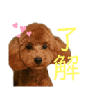 ramu_stamp（個別スタンプ：2）