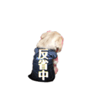 まろたんの日常⭐︎（個別スタンプ：28）
