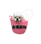 まろたんの日常⭐︎（個別スタンプ：32）