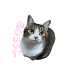 こなるく。（個別スタンプ：1）