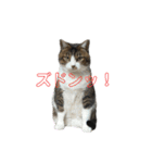 こなるく。（個別スタンプ：3）