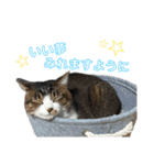 こなるく。（個別スタンプ：7）