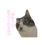 こなるく。（個別スタンプ：8）