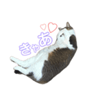 こなるく。（個別スタンプ：9）