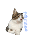 こなるく。（個別スタンプ：10）