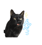 こなるく。（個別スタンプ：16）