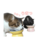 こなるく。（個別スタンプ：23）